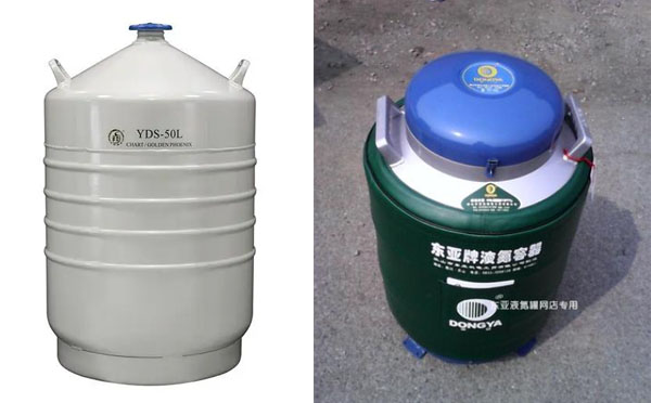 金鳳與東亞 金鳳與東亞